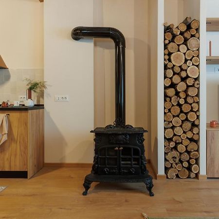 Roua Ludica Apartments 브라쇼브 외부 사진
