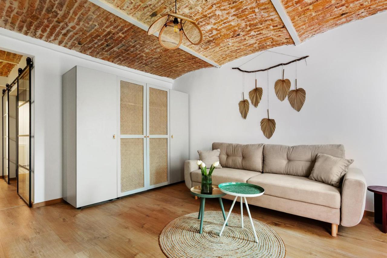 Roua Ludica Apartments 브라쇼브 외부 사진