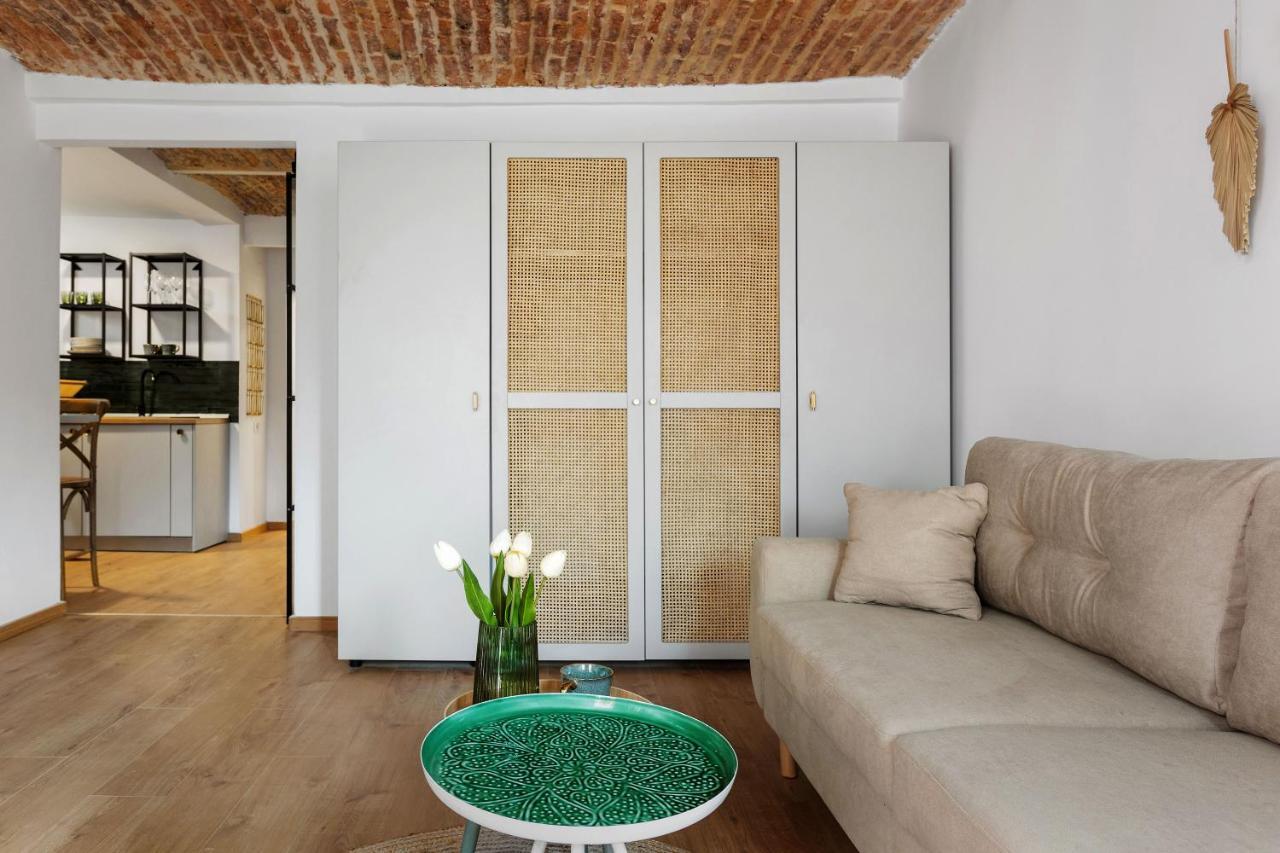 Roua Ludica Apartments 브라쇼브 외부 사진