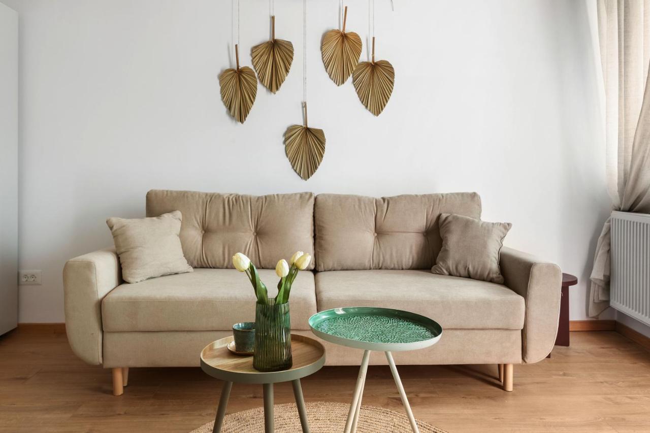 Roua Ludica Apartments 브라쇼브 외부 사진