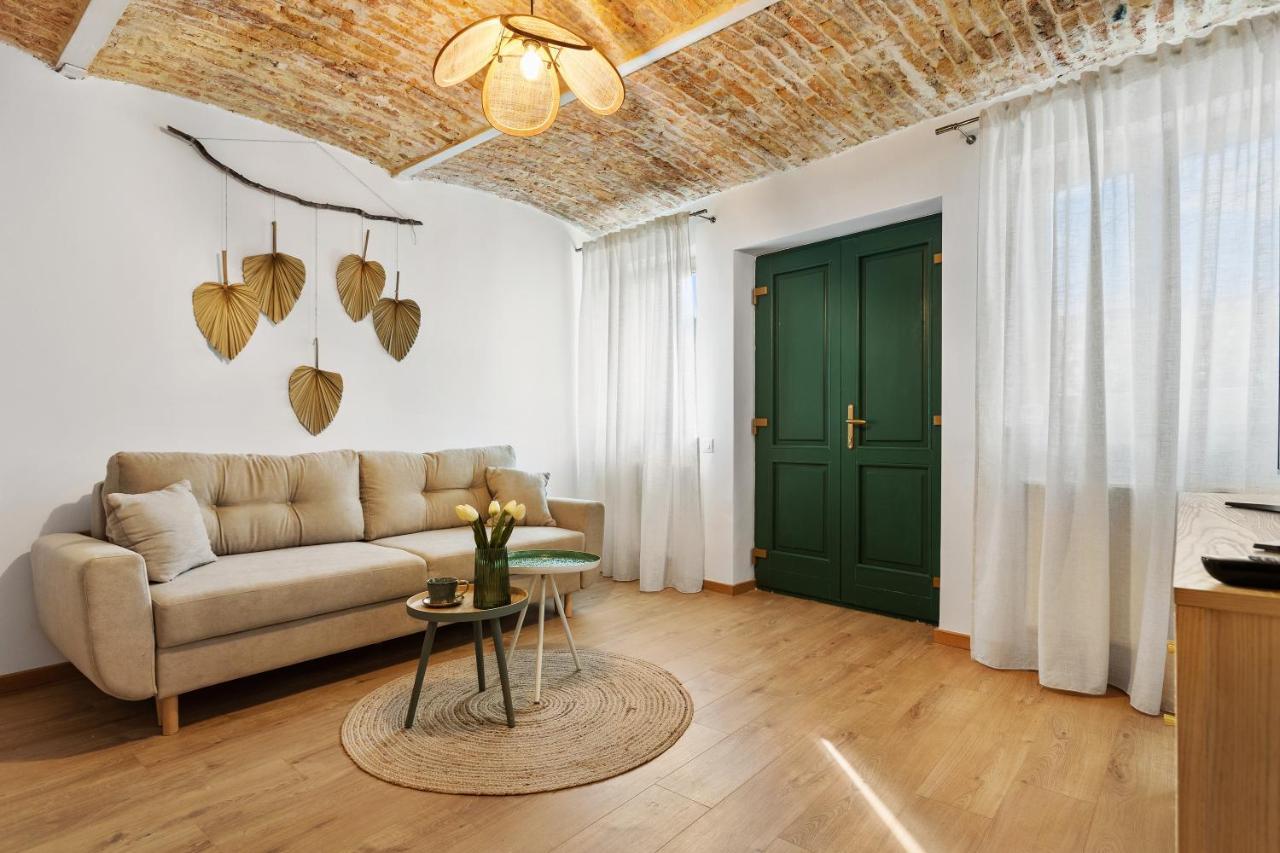 Roua Ludica Apartments 브라쇼브 외부 사진