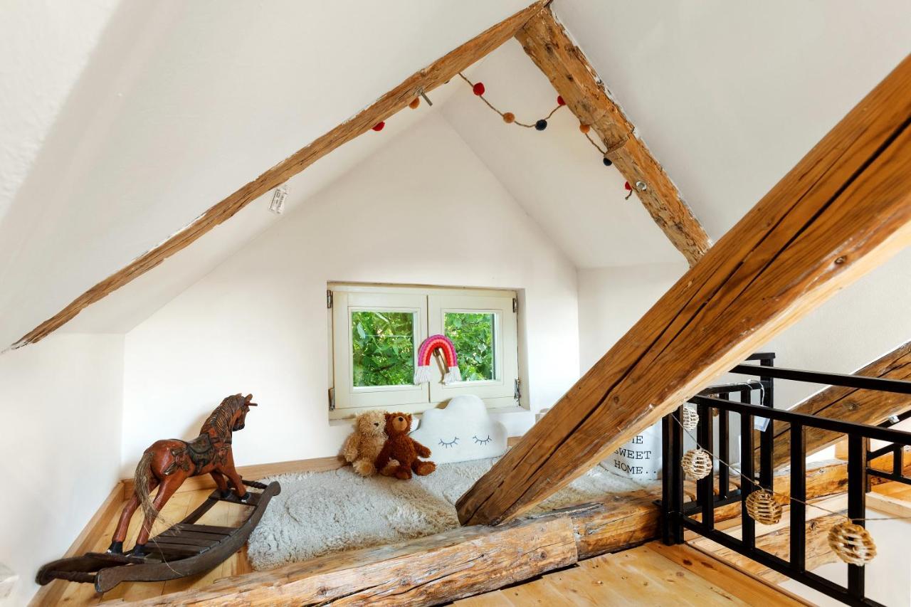 Roua Ludica Apartments 브라쇼브 외부 사진
