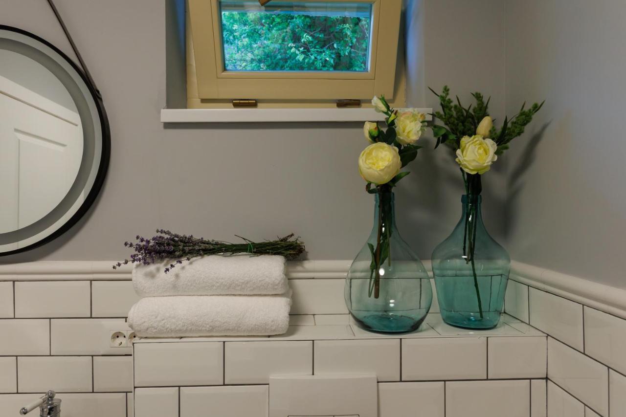 Roua Ludica Apartments 브라쇼브 외부 사진