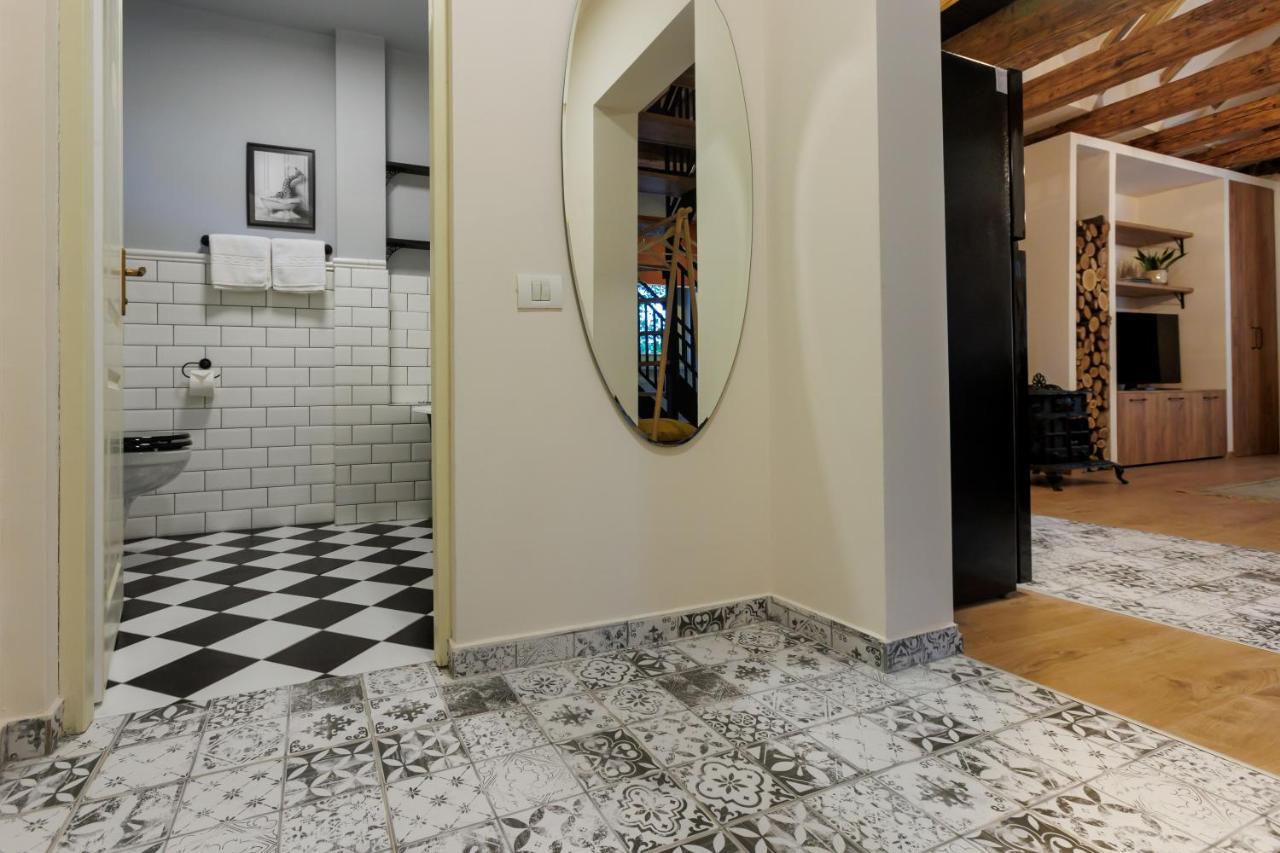 Roua Ludica Apartments 브라쇼브 외부 사진