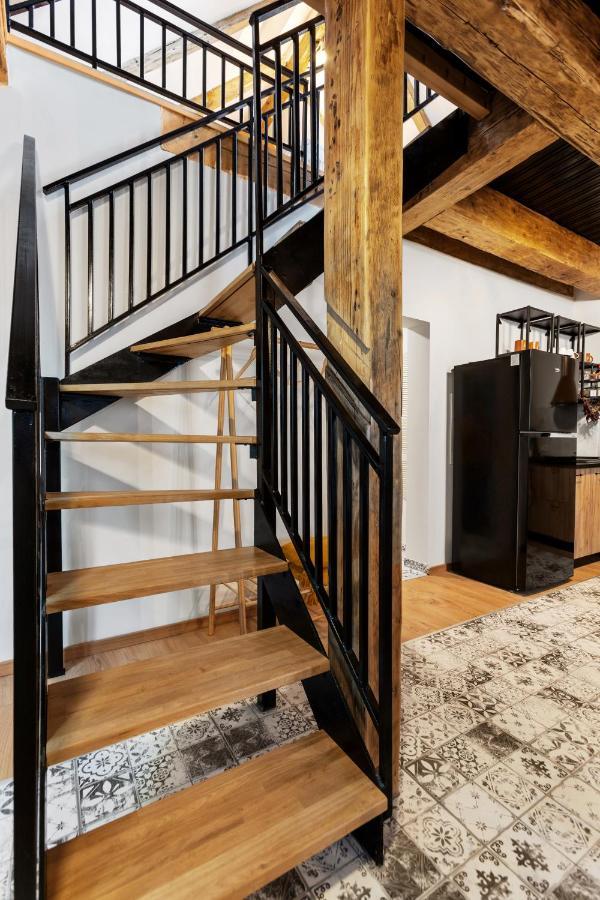 Roua Ludica Apartments 브라쇼브 외부 사진